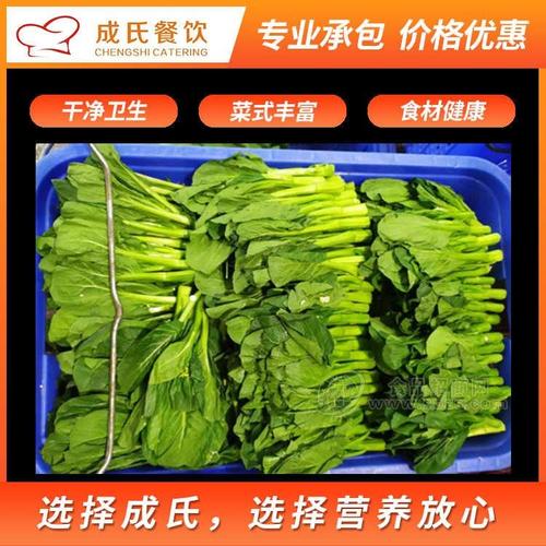 以体系驱动品质，以服务沉淀信任——探索广东成氏餐饮管理的专业之道